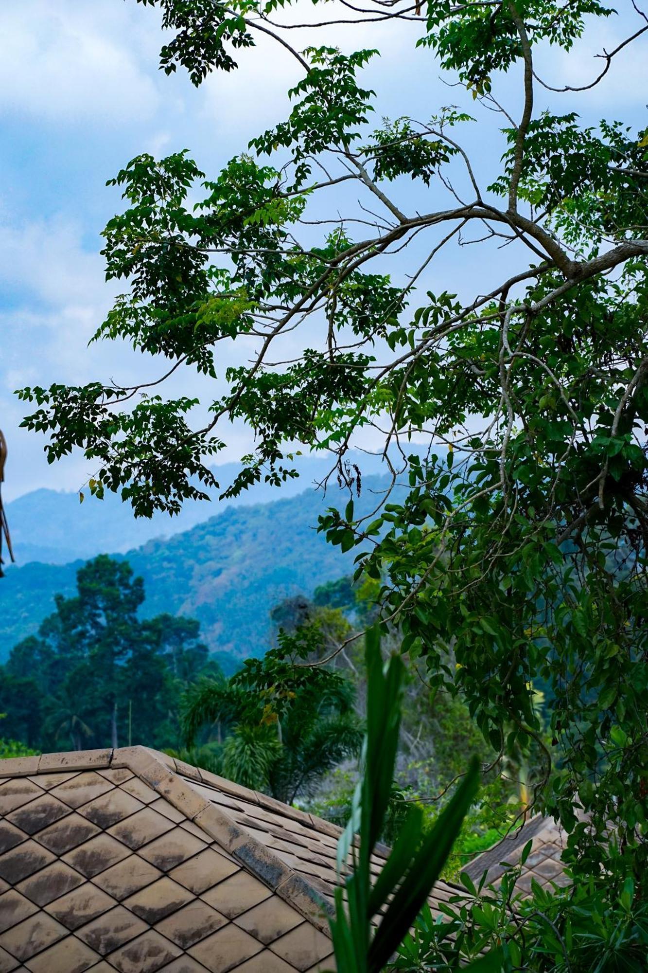 Large 4 Bed Villa Short Walk To Maenam Beach Mae Nam Bagian luar foto